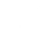 Black Falcon